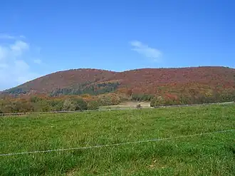 Der Königsberg im Herbst