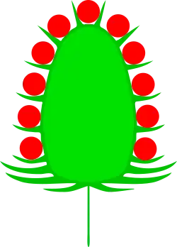 Köpfchen