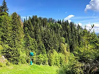 Kogel von Norden