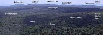 Der Moosrangen (Bildmitte) im Arzberger Forst