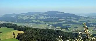 Salzburger Flyschzone: Kolomansberg, Thalgauer Seite