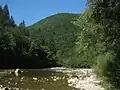 Kolpa nahe der Burg Kostel