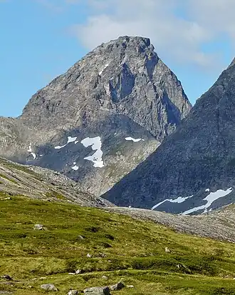 Kongen von Süden