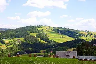 Blick von Koniaków
