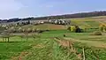 Weingut Falkensteinerhof, Niedermennig