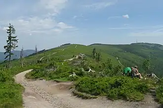 Gipfelbereich