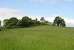 Die Kopfsteine westlich von Fürstenwald