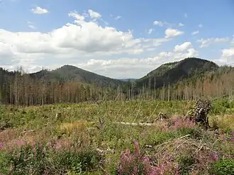 Blick vom Wanderweg
