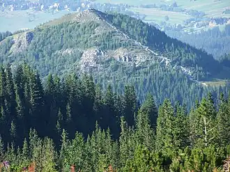 Blick vom Wanderweg