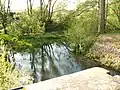 Das Unterwasser in die Vechte