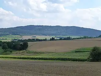 Koppensteiner Höhe aus Nordwesten