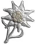 Das Edelweiss (modern)