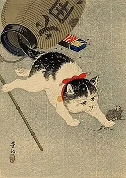 Katze[S 2][A 1]