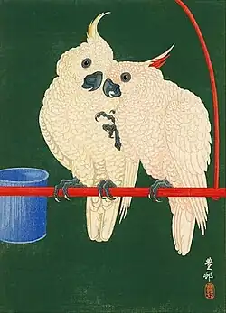 Papageie, 1926[S 2]