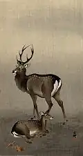 Rehe[S 1]