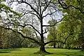 Schlosspark