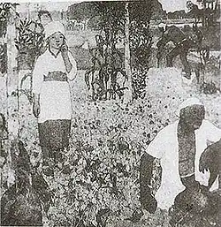 Bohnenernte, 1912