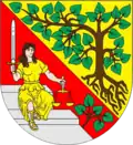Lindenbaum und Lindenzweig (Krásná Lípa (Schönlinde)/CZ)