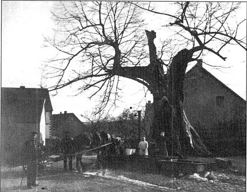 Brunnen vor der „Tausendjährigen Linde“ um 1900