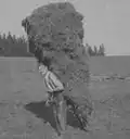 Heutransport mit der Krätze im Schwarzwald um 1900