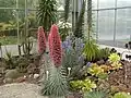 Botanischer Garten, Gewächshaus für Sukkulente und Pflanzen der Kanarischen Inseln.