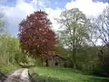 Lage am Wegesrand