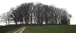 Die Langbetten auf dem Ruserberg