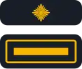 Kreisfeuerwehrinspekteur/-in
