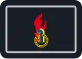 Kreisjugendfeuerwehrwart/-in