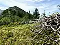 Am Kreuzbergspitzl mit Blick zum Kreuzberg