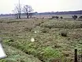 Grabhügel mit Ringgraben
