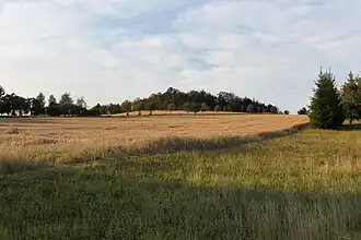 Blick aus Hauswalde