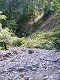 Teil des Naturdenkmals Kroisbachgraben