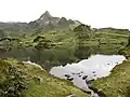 Seekarspitze von Süden über dem Krummschnabelsee