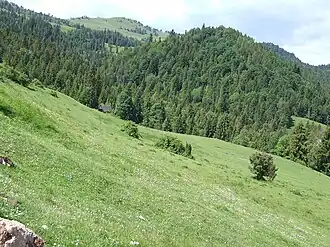 Gipfel