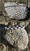 Krusten-/Furchenstein mit mäandrischer/regelloser Anordnung