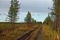 Waldbahn