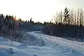 Waldbahn