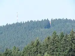 Die Bäume überragen den Turm in einer Schneise