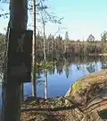 Landschaft am See Kukuljärvi