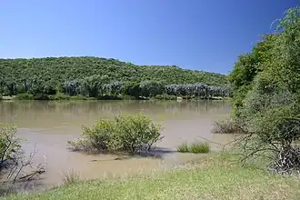 Kunene bei Swartbooisdrift
