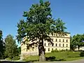 Die Königseiche von Djurgarden