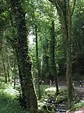 Vertikale Wasserlinie, 2007