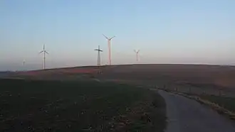 Kuppensteiner Wild