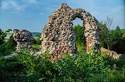 Burgruine