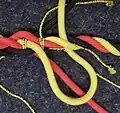 Die Kardeele fahren jetzt nach rechts über und unter das nächstliegende Kardeel. Hier wird mit dem gelben Kardeel des linken Kardeels angefangen, dies fährt über das rote und unter das gelbe Kardeel.