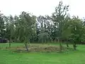 Kvaglund