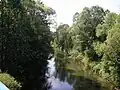 Der Queis bei Trzebów