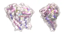 Kynureninase