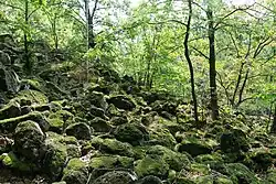 Löbauer Berg, in der Eiszeit entstandene Blockhalde (Blockmeer)